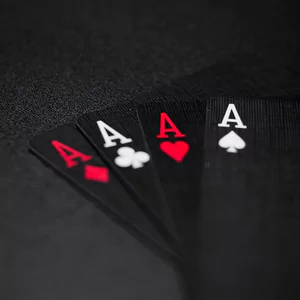 벳네온 먹튀 의혹? 실제 이용 후기와 먹튀검증 결과 총정리